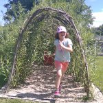 phoca_thumb_m_veverky olymp.beh  4 Fotogalerie